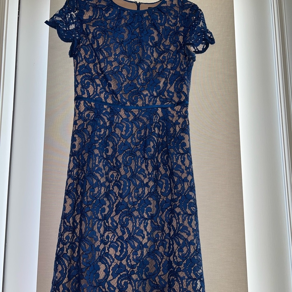 Adrianna Papell Royal Blue Lace Dress